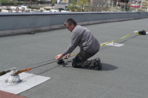 test ligne de vie lyon